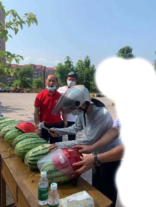 濮阳吃瓜事件,一场网络舆论的风暴与反思
