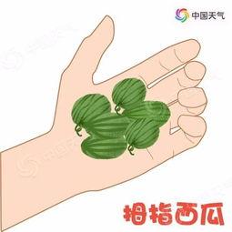 小说带你吃瓜,跟随故事情节，一起品尝人生百味