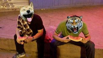 吃瓜群众与吃瓜狗的关系,吃瓜群众与吃瓜狗的和谐共舞