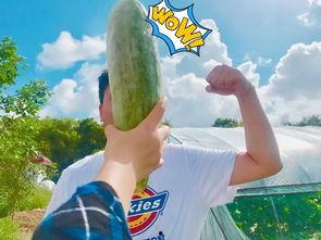 朋友吃瓜反应,揭秘娱乐圈那些不为人知的幕后故事