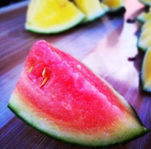 山东滨海吃瓜,夏日吃瓜盛宴，尽享海滨风情