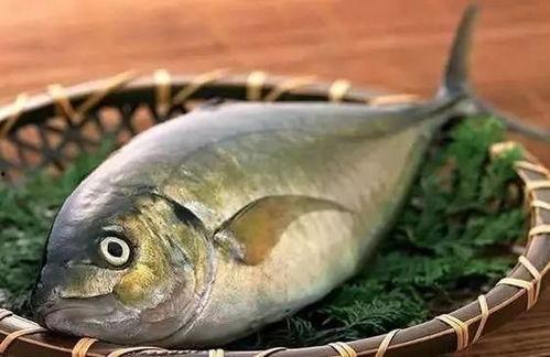 鱼仔和平精英吃瓜,揭秘游戏圈幕后趣闻