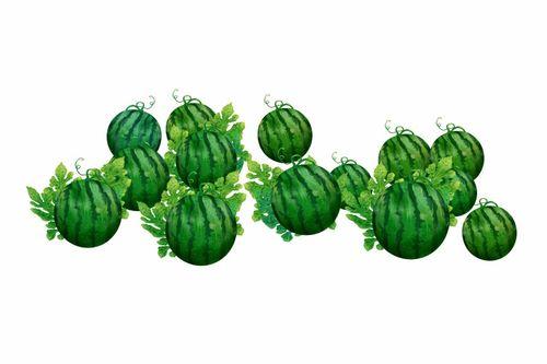 阿扣吃瓜,揭秘娱乐圈那些不为人知的幕后故事