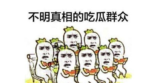用户吃瓜群众,吃瓜群众视角下的娱乐圈风云录