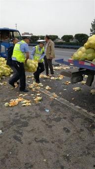 吃瓜盘点吃瓜群众撞到交警,现场瞬间沸腾！