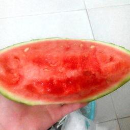 吃瓜的瑞士球,吃瓜群众的健身革命